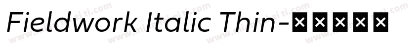 Fieldwork Italic Thin字体转换